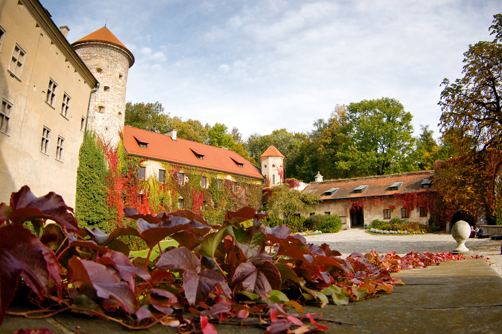 Zamek w Pieskowej Skale
